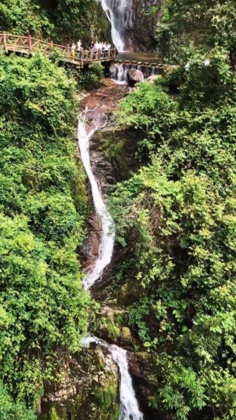 穿越遗弃的森林