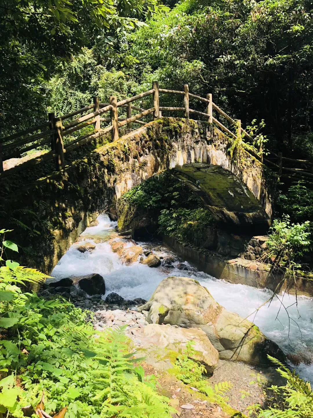 介绍四种值得尝试的方法，帮助您有效降低尿酸水平